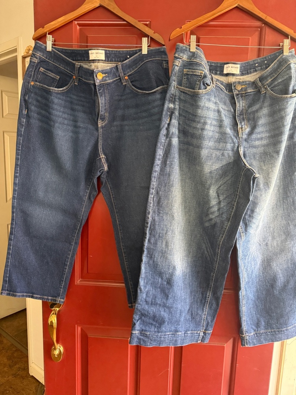 Lane Bryant Blue Denim Jeans Duo - Dark and Light Wash